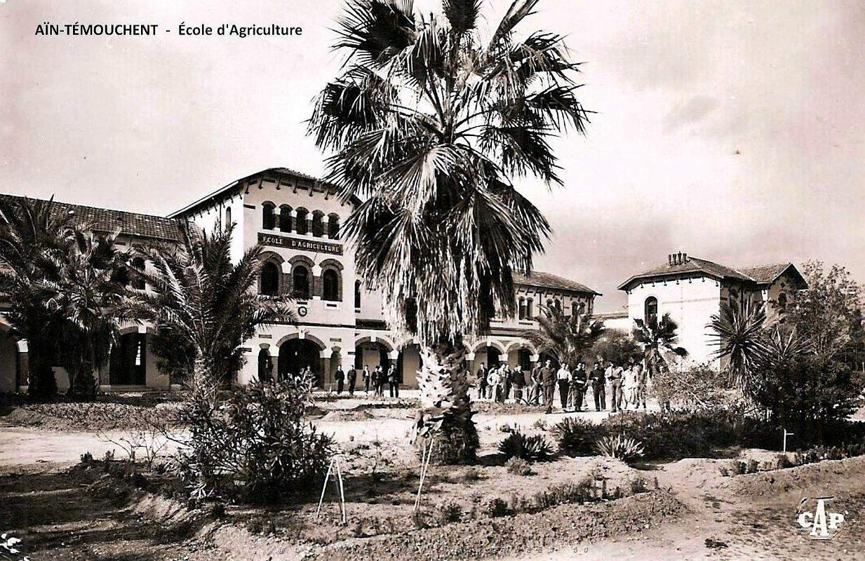 Ain-Temouchent - Ecole d'Agriculture.jpg